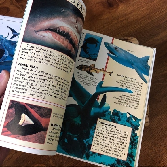 Eyes on Nature: Sharks, hardback book - Picture 3 of 5